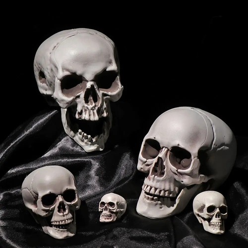 Halloween props high - halloween,