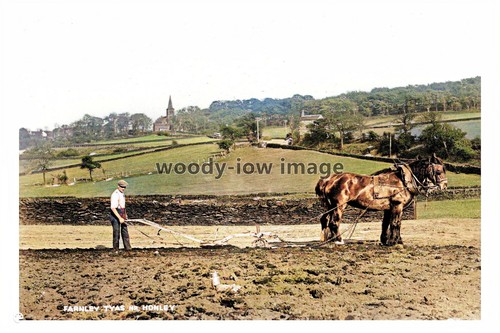 Ptc2184 yorks farmer - ptc2184, yorks.