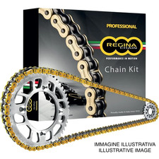 KIT TRASMISSIONE CORONA, CATENA, PIGNONE REGINA PER KAWASAKI KLR600 (KL600A1,B1-