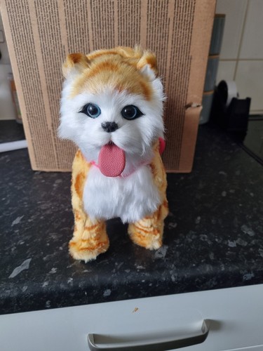 Realistic walking cat singing - realistic,