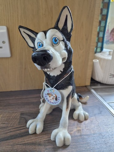Arora design pets with - design,
