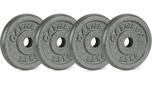 Cast iron weight plates 4x2 - weight, 4x2.5