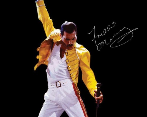 Freddie mercury queen - freddie,
