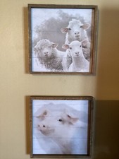 Country Farm Animal Portrait