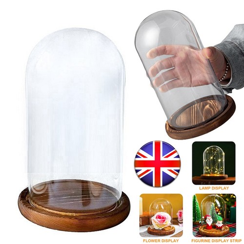 Glass display cloche - glass, bell
