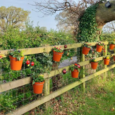 6 Fence panel plant pot