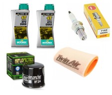 Yamaha Yfm 350 Grizzly - 07/16 - Complete Revision Parts Package