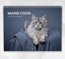 Maine Coon Calendar 2026: Monthly Wall Calendar with Notes, opens to A3 Size