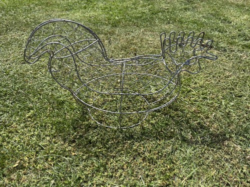 Topiary frame metal mesh - topiary,