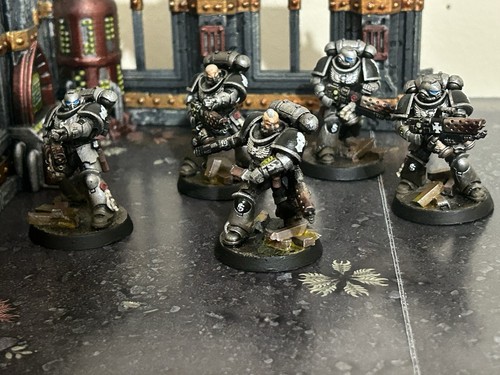 Fully painted and based silver - fully,