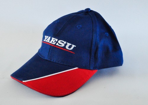 Yaesu system fusion - yaesu,