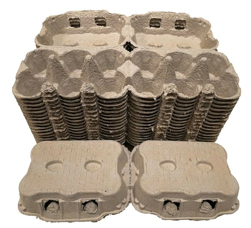 Dozen 2 x 6 - 50, 1/2