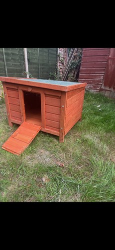 Small animal house - animal,