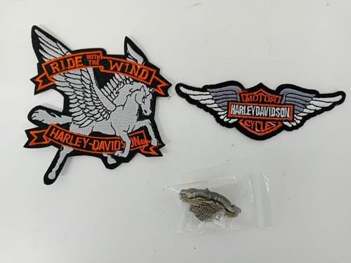 Harley davidson pin - pin, badge