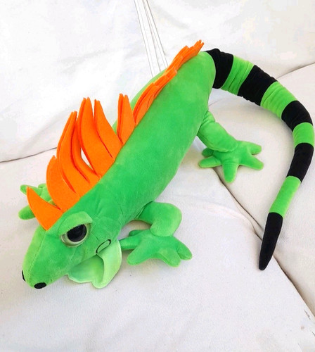 Large iguana lizard nature - iguana,