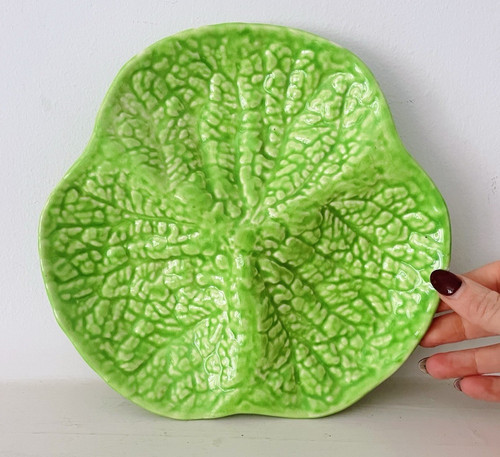 Cabbage leaf crown devon - leaf,