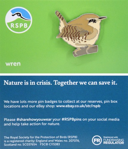 Rspb pin badge niic wren - badge,