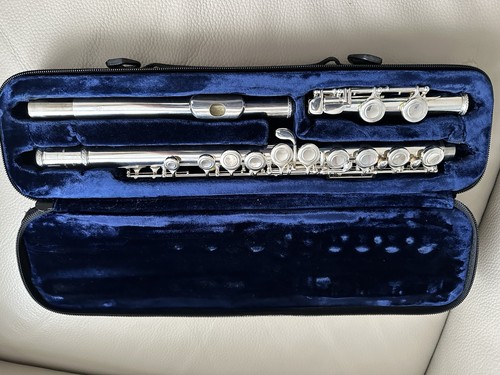 Trevor james tjj10x - tjj10x, flute