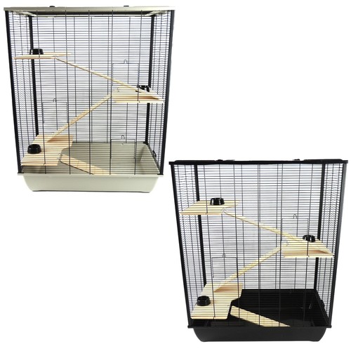Rat hamster pet animal - pet,