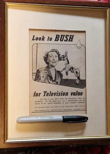 1954 bush television advert - 1954,