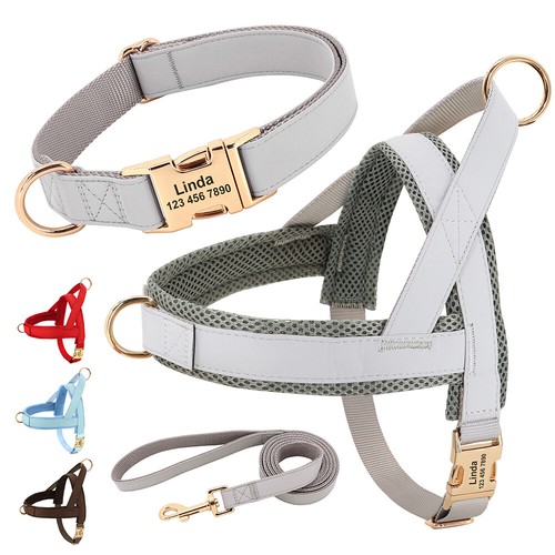 Personalised dog harness - dog,