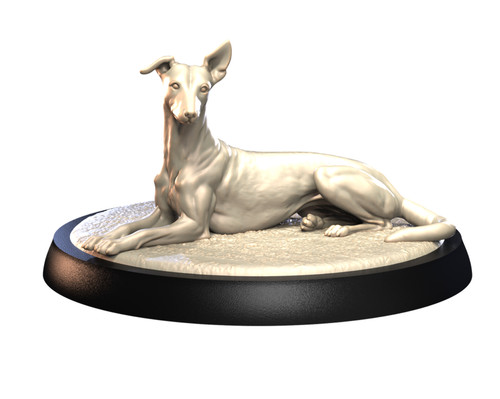 Dogs2 italian greyhound - italian,