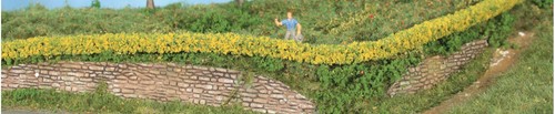 Heki forsythia hedges - 2,