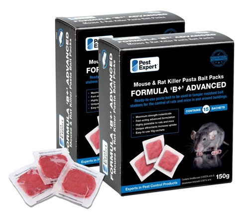 Pest expert rat mouse - mouse, killer