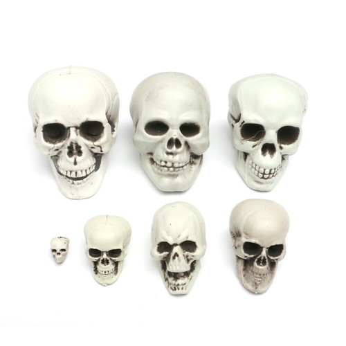 1pc halloween artificial skull - artificial,