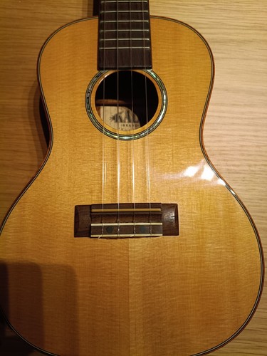 Kala fmc spalted maple - ka,