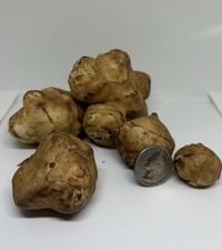 Organic Jerusalem artichoke