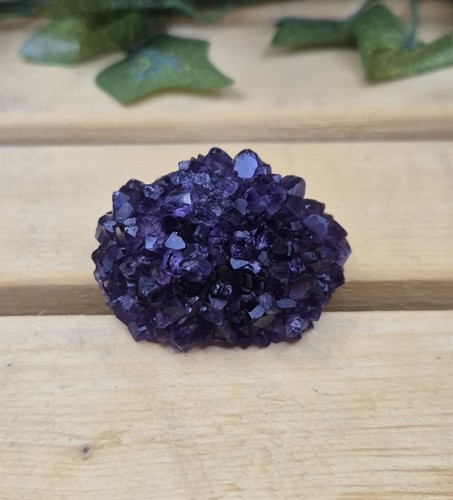 Deep purple amethyst - purple, flower