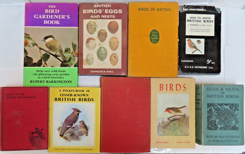 Vintage lot ornithology - vintage,
