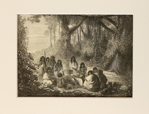 Native american indian - american,