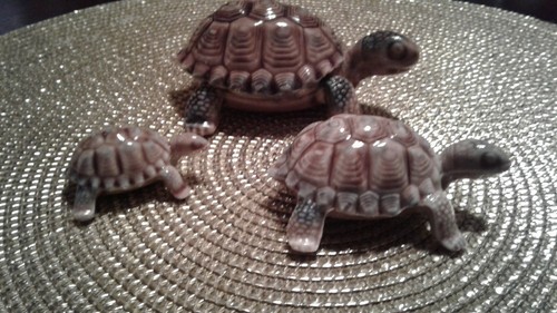 Wade turtles family - 3,