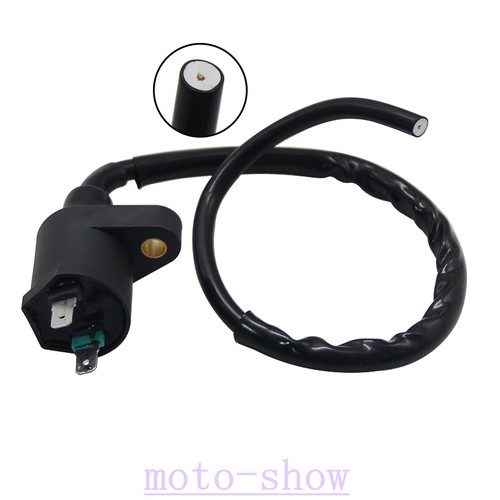 Ignition coil for - ignition,