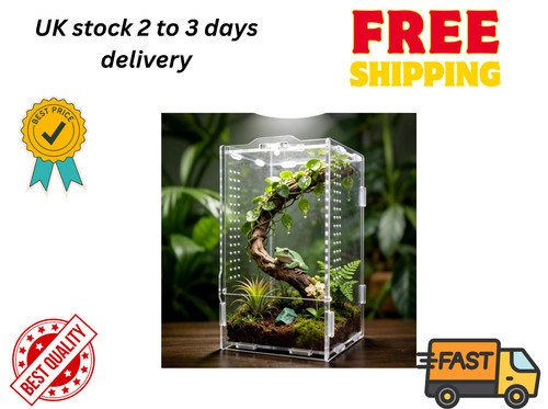 Jumping spider enclosure - spider,