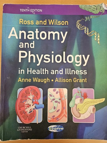 Ross wilson anatomy and - wilson,