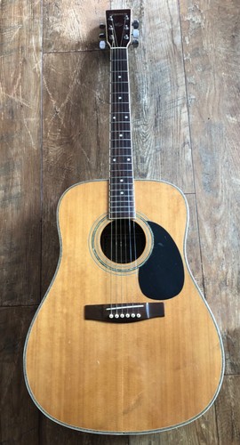 Hohner lw600n acoustic - lw600n, guitar