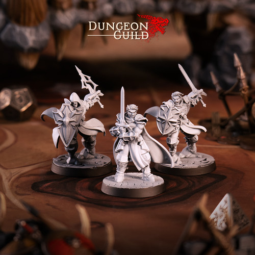 Human paladin player character - human,