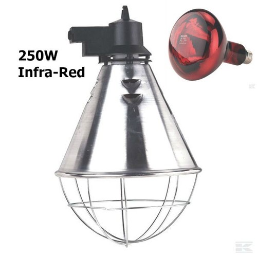 Infra red heat lamp bulb - infra,