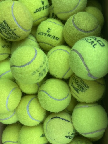 Used tennis balls great - 30,