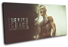 Conor McGregor UFC MMA Grunge