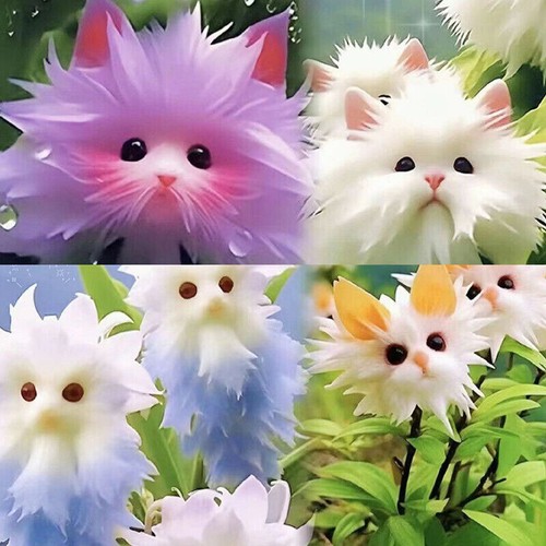 50pcs seeds cute - 50pcs, face