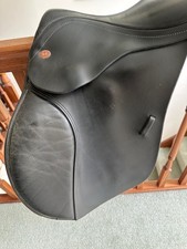 Kent & Master black pony