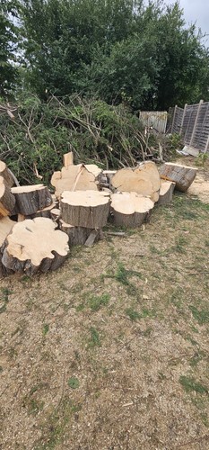 Cut chopped firewood logs - &,