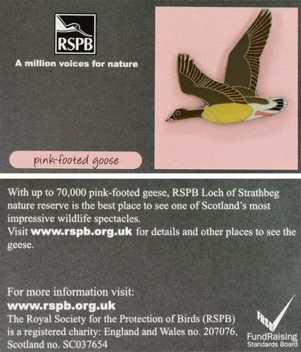 Rspb pin badge special amvfn - rspb,