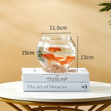 Plastic Transparent Round Fish
