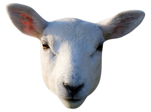 Sm447 sheep mask animals - sm447,