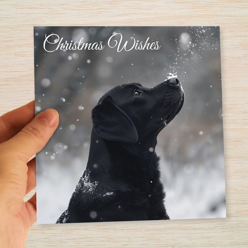 Black labrador christmas cards - labrador,